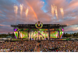 Music Festival 2020