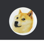 poggodoggo