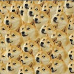 Doge world 2