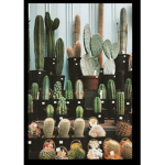 Team cacti