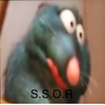 Secret society of rats S.S.O.R