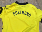 Borussia dortmund dublin