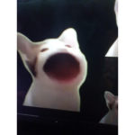 Arson is poggers
