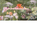 flowergardenz