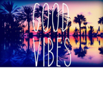 Vibez clothing store!