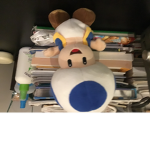 The Toad Gruop join the toad group you get money