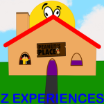 Z Experiences