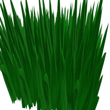 Tall Grass