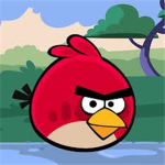 TEAM ANGRY BIRDS
