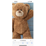 Teddy best best group