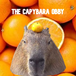 The Capybara Obby