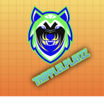 LLL official