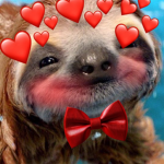 Sloth group forever!