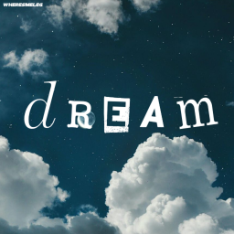 d r e a m