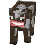 feeB Clan