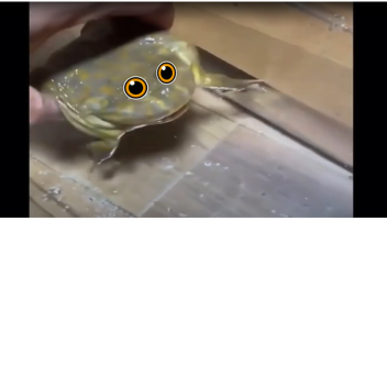 Survive the memes