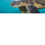 ......hi........hi........