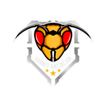Hornet Battalion