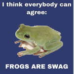 f r o g s :D