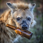 Furries 4 l1fe