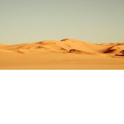 Desert Fighting Game