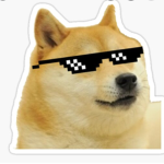 Epic Doge lol lol