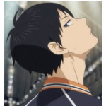 ~ADOPT ME FANS~