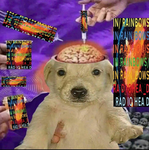 Radiohead group 4 creeps…