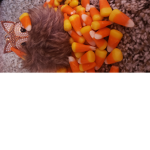 Candycorn Foxes