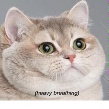 LocalPlayer Script to SS Script experiments