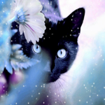 Cats Are Lovely