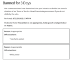 Banned from Roblox