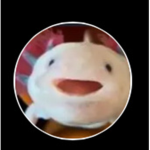 Bobux yeahhh