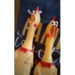 THE MAGIC CHICKEN
