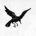 Crows Nest 鸦巢