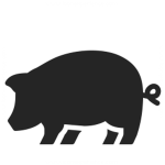 Pigg Gangg