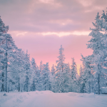 nodripmadss group! (winter)