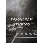 Triggered Studi0s