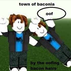 Town Of Baconia
