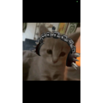 ExtremeCatPhones
