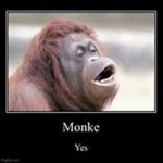 we are monke 1324