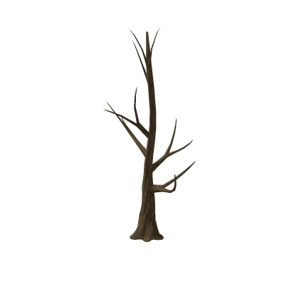 trunk OF GREATNESS (rest of it all in description)
