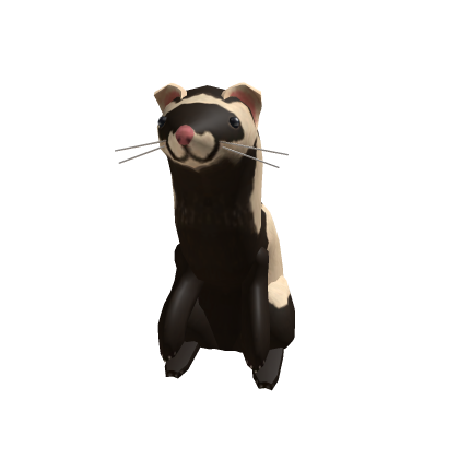Ferret1