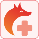 StudFox