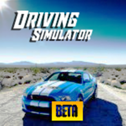 DrivingSimulator {BETA}