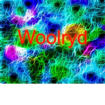 woolryd gang