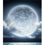 Luna's Paradise <33