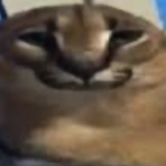 POOP THE SECOND