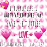 1_Turtle4life_1