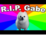 Gabe The Doggo The Offical Fan Group
